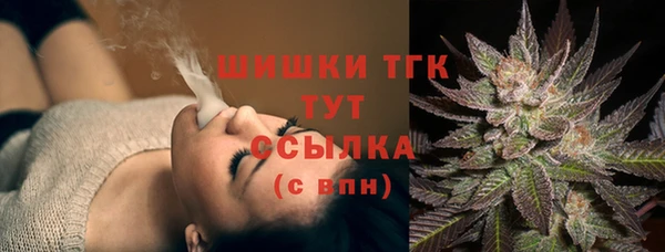 СК Богородицк