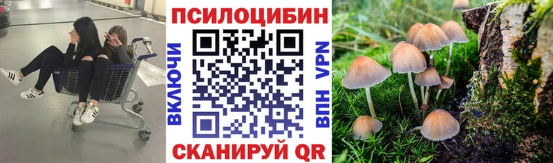 Купить где Боготол Галлюциногенные грибы ЛСД